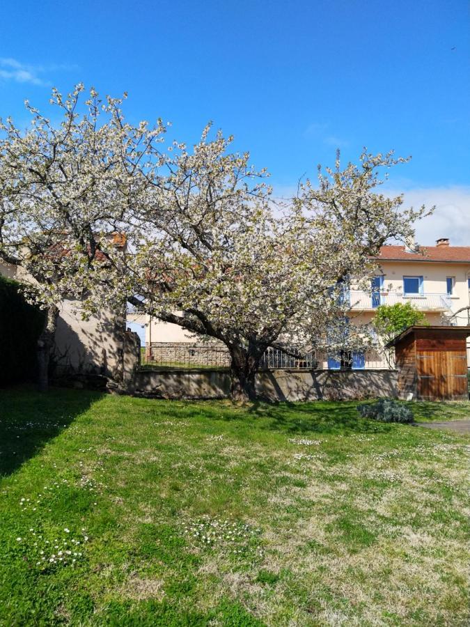 Les Bessonnes Bed & Breakfast Saint-Georges-Haute-Ville ภายนอก รูปภาพ
